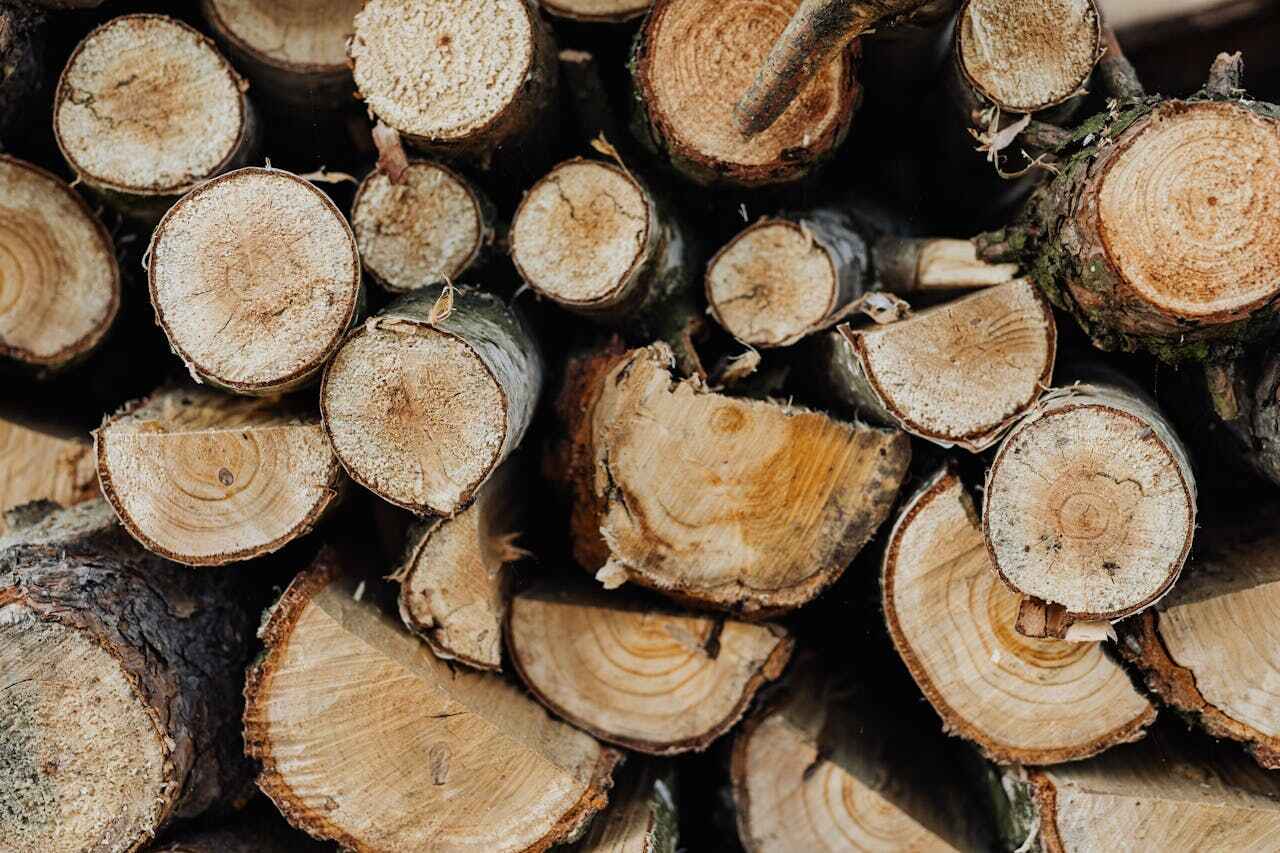 Tree Branch Trimming in Buena Vista, CO